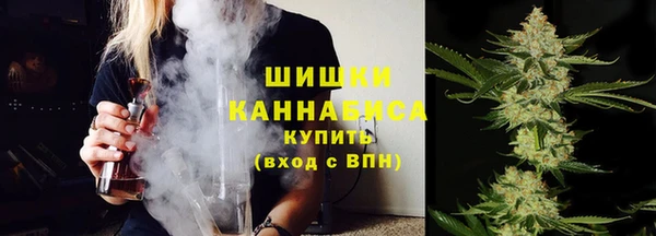 гашик Каменногорск