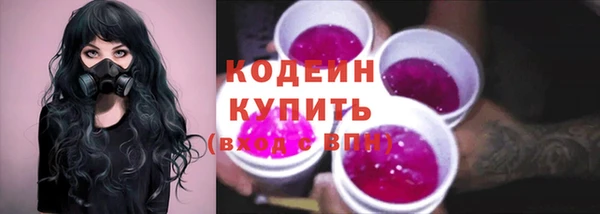 гашик Каменногорск