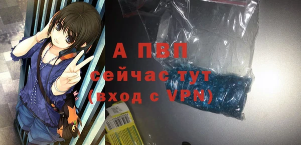 гашик Каменногорск