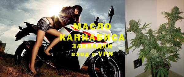 гашик Каменногорск