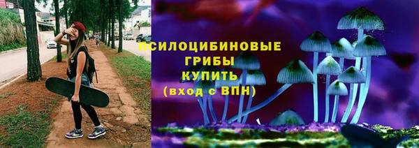 гашик Каменногорск