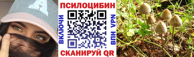 Галлюциногенные грибы MAGIC MUSHROOMS  мега маркетплейс  Теберда 